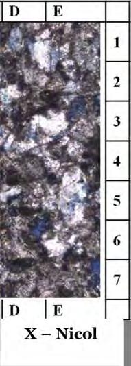 rombakan foraminifera kecil (C-7) dan mineral karbonat (E-1), pada sayatan ini terlihat tekstur klastik. 3.2.
