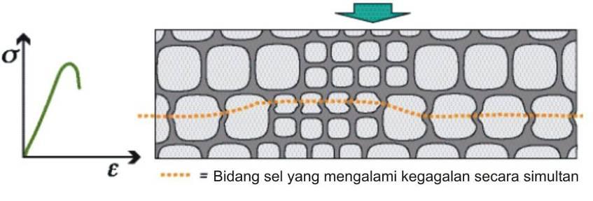 spesimen secara melintang. Penekukan (buckling) pada permukaan sel, dan sisi datar pita sel, diperlihatkan secara skematik di gambar IV.
