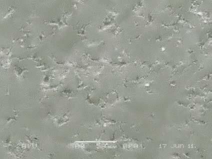 14Hasil uji mikroskop optik spesimen baja SS-316L dalam larutan NaCl dengan