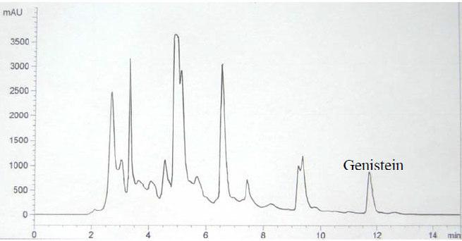 Kadar genistein yang diukur secara densitometri lapis tipis dan KCKT tidak berbeda secara bermakna pada aras keberartian.