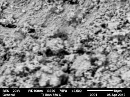 Perbandingan pola difraksi sinar-x pada pemanasan suhu 750 ºC selama 3 jam dan 6 jam disampaikan pada Gambar 6. (b) (c) 3.1 µm Tulang ikan 1250ºC 1.3 µm 2.9 µm 1.