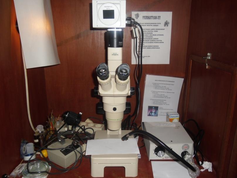 12 Gambar 3 Mikroskop stereo dengan kamera digital tipe OLYMPUS 11D, digunakan untuk pemotretan semua stadia Trissolcus sp. Penelitian Potensi Trissolcus sp. Sebagai Parasitoid Telur pada Inang C.