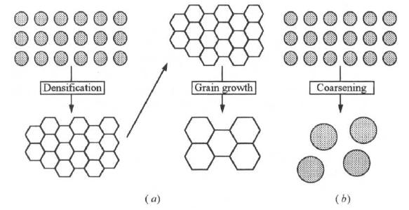Gambar II.7. Dua mekanisme proses reduksi permukaan bebas partikel (a) Proses densifikasi; (b) Proses pengkasaran butir [3].