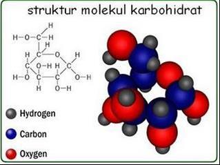 Biokimia Topik 1 Karbohidrat Biomolekul adalah molekul-molekul atau senyawa-senyawa kimia yang berperan dalam sistem kehidupan.