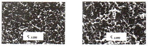 Gambar 4: Struktur Mikro Keramik Gambar 5 : Struktur Mikro Keramik Al 2 O 3 - Al 2 O 3 ZrO 2 tanpa aditif MgO ZrO 2 yang ditambah Aditif MgO Gambar 6 : Struktur Mikro Keramik Gambar 7: Struktur Mikro