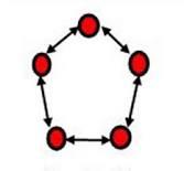 1. Struktur Lingkaran. Struktur lingkaran tidak memiliki pemimpin. Semua anggota posisinya sama. Mereka memiliki wewenang atau kekuatan yang sama untuk mempengaruhi kelompok.