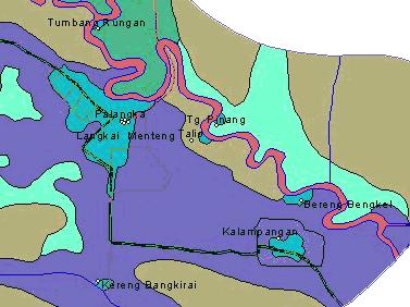 36 Gambar 3.1 Peta Lokasi Penelitian 60 Keterangan : : Perairan Sungai Kahayan : Semak : Hutan Belukar : Pemukiman : Kelurahan Tanjung Pinang C. Populasi dan Sampel Penelitian 1.