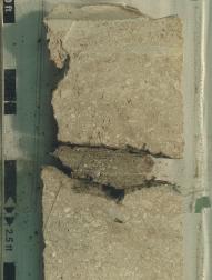 packestone pada bagian atas atau lebih muda Rhodolith-foram