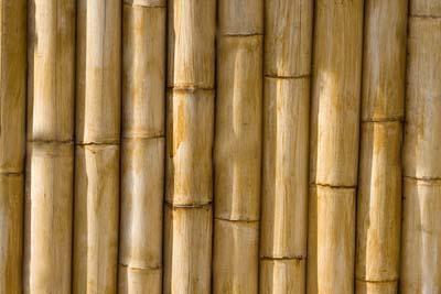 bambu yang merupakan ciri khas arsitektur Jawa Tengah. Gambar IV.22 Material kayu dan bambu G.