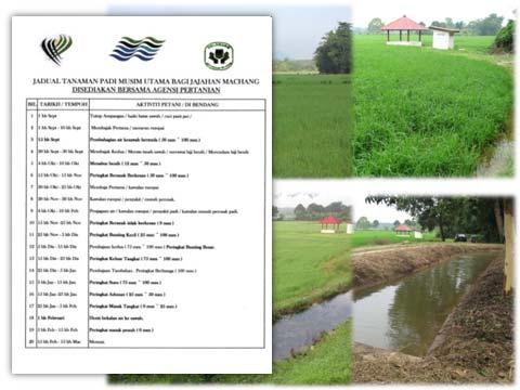 Tanaman Padi Mengikut Jadual v. Pengurangan Rungutan Petani Petani mula memberi komitmen yang tinggi terhadap jabatan.