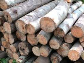 47 Dari pengolahan tanah tersebut di atas mendapatkan hasil dari penjualan kayu jati dengan menggunakan rincian pembelian per m³.