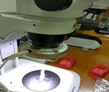 mikroskop olympus sehingga cekungan yang terdapat pada material plastik dapat terlihat dengan jelas.