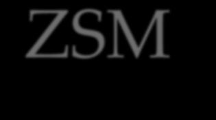 ZSM-5 dari metakaolin Penulis/ tahun Prekursor Hasil Wang