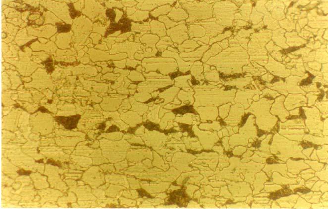 20µm Gambar 4.2. Foto struktur mikro ferit baja HSLA