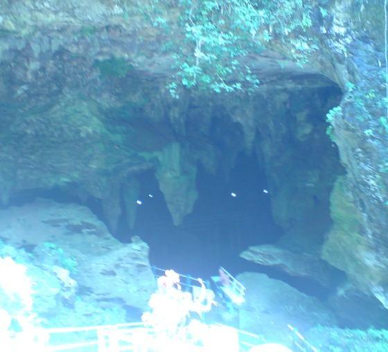 Udara yang sejuk dengan aroma jati yang khas, serta banyaknya kelelawar yang menghuni gua, menjadi ciri khas dari obyek wisata Gua Lowo.