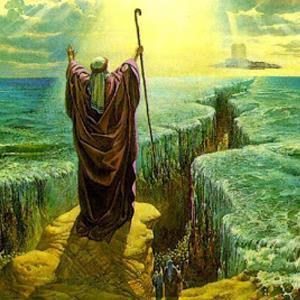 Nabi Musa Mencari