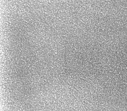 Dari hasil karakterisasi SEM (Gambar 4.(a)) nampak bahwa pada lapisan penyangga dengan ketebalan 25 nm tumbuh kristal GaN secara merata.