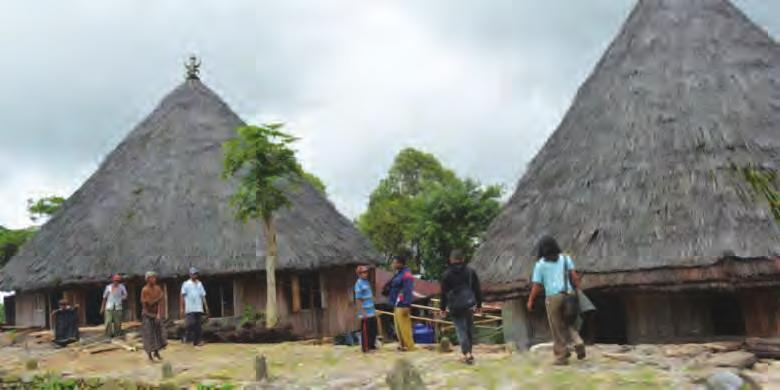 Di Waerebo terdapat tujuh rumah adat Manggarai, satu di antaranya rumah adat Gendang yang biasa disebut Mbaru Niang. Rumah Gendang berbentuk kerucut dengan ketinggian mencapai 15 meter.