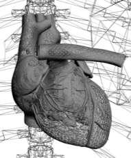 Menu Utama Bantuan Anatomi A Anatomi B Sistem Denyut Jantung Tampilan 360