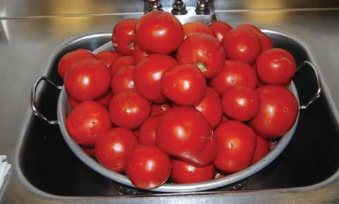C. Cara Membuat Manisan Tomat Bacalah! D.