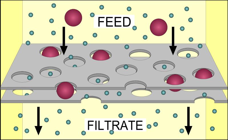 Filtrasi adalah pergerakan cairan melalui membran biologis sebagai akibat perbedaan tekanan hidrostatik pada