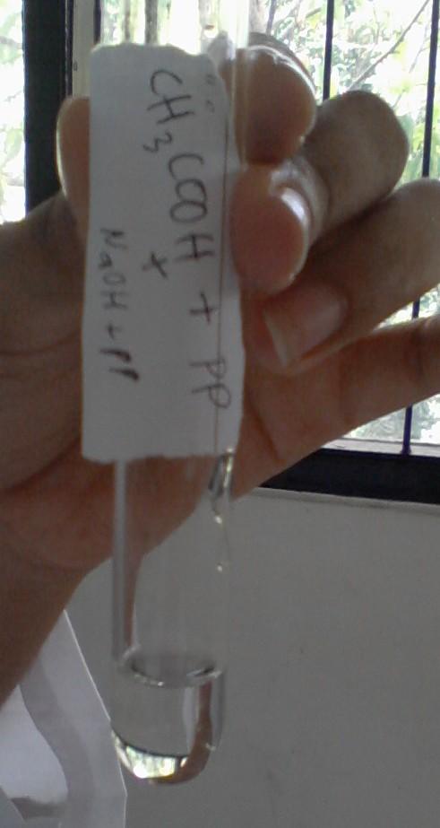 (NaOH + PP) K2CrO4 + HCl Warna larutan orange K2CrO4