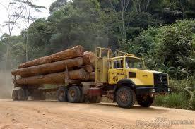 Oleh karenanya selalu lakukan update informasi ke Pihak PT Dasa Intiga untuk mendapatkan informasi beroperasi atau tidaknya truk logging melalui frekuensi radio: Jalur Repeater : 155.620 (Bp.