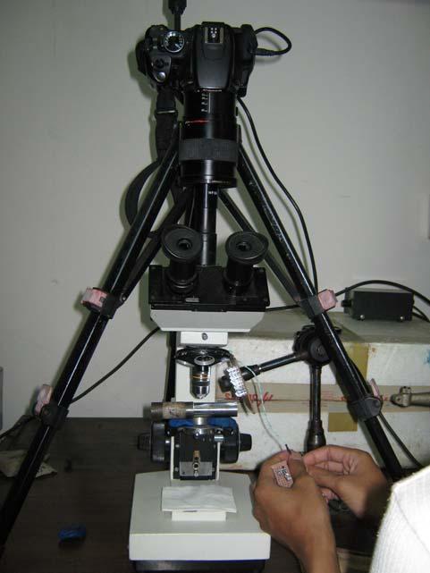 Mikroskop & kamera