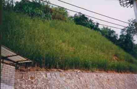 Dusun Ciseureuh berupa metode pemasangan jaring besi dan dinding batu atau metode Gabion wall serta pembuatan pipa-pipa