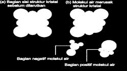 13 Gambar 12. Perusakan kisi kristal NaCl oleh air (Sumber: Lewis, R., 2006. Hlm. 51) Konsep yang benar: Ikatan ion akan rusak ketika dilarutkan dalam air.