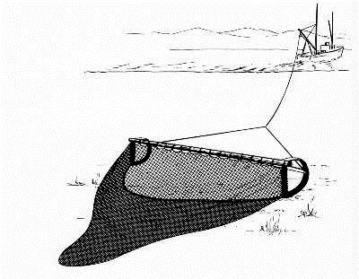 22 2.6.4 Payang Payang digolongkan kedalam boat seine. Disainnya terdiri atas dua sayap, badan dan kantong mirip trawl. Jaring ini dioperasikan dari kapal dan ditarik dengan dua tali selembar.