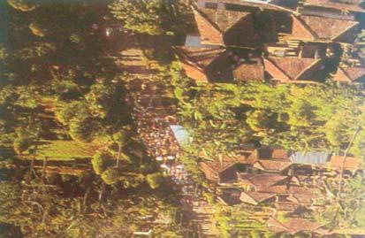 Di daerah plain (datar) susunan desanya mengikuti jalur-jalur jalan dan sungai. Contoh desa ini dapat dilihat di daerah Bantul-Yogyakarta, dan merupakan Line Village atau pola desa yang memanjang. 2.