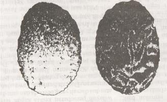 Kebudayaan Batu Madya (Mesolithikum) Kebudayaan batu madya ditandai oleh adanya usaha untuk lebih menghaluskan perkakas yang dibuat.