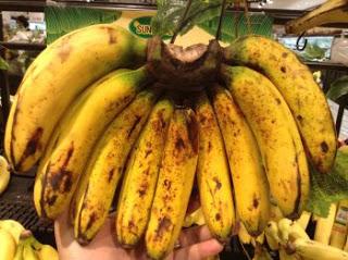 15 bergantung pada musim. Semua bagian tanaman pisang sering dimanfaatkan oleh masyarakat sebagai bahan sandang dan pangan, mulai dari bagian bunga, buah, daun, batang maupun bonggol pisang.