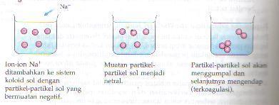 4. Koagulasi Koagulasi adalah penggumpalan partikel koloid yang terjadi karena kerusakan stabilitas sistem koloid atau karena penggabungan partikel koloid yang berbeda muatan sehingga membentuk