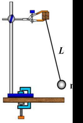 Bola di tarik oleh gaya tegangan tali (T ) dan gaya gravitasi mg.