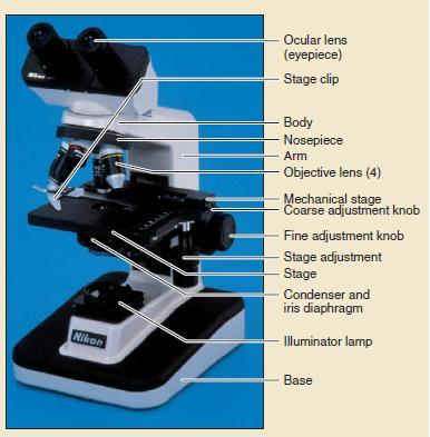 Mikroskop Mikroskop cahaya Melewatkan chy pd spesimen Memperbesar struktur sel menggunakan lensa