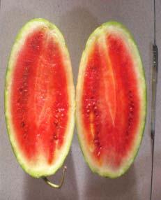 Buah semangka tanpa biji setelah penyerbukan dapat diperoleh dengan memberikan hormon....