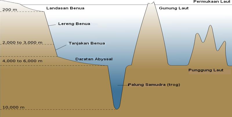 yang terletak antara Pulau Kalimantan, Jawa, dan Sumatera. b. Continental slope (lereng kontinen) Continental slope adalah dasar laut yang terletak di bawah continental shelf.
