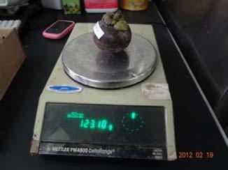 padatan terlarut daging buah manggis, timbangan digital, termometer, keranjang buah dan alat-alat penunjang