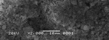 Oleh karena itu, nilai % rejeksi dengan membran komposit silicalite-1 terus mengalami peningkatan. Gambar 4.13 Penampang muka silicalite-1 Gambar 4.
