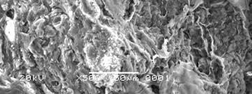 ditunjukkan pada Lampiran H dapat diketahui bahwa lapisan silicalite-1 lebih banyak mengandung ion Cu 2+ (,24%) daripada material