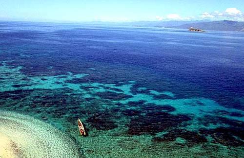 2. Taman Laut Tumbak, Manado Jika Anda mencari alternatif wisata menyelam, Taman Laut Tumbak adalah salah satunya. Karena di sini Anda bisa menikmati sedikitnya 20 spot menyelam yang oke punya.