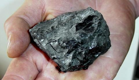 Selama penimbunan peat tertekan membentuk lignite ------ batubara