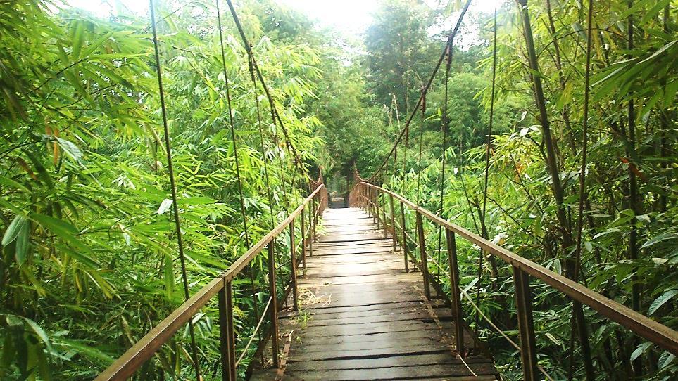 Jembatan gantung pejalan kaki yang menghubungkan Desa Kendalsari- Dompol, Kecamatan Kemalang, Kabupaten Klaten yang telah berdiri dari tahun 1993.