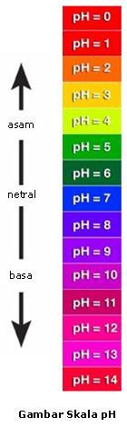 Derajat keasaman dan kebasaaan adalah bilangan yang menyatakan jumlah ion hidrogen (H + ) dan jumlah ion hidroksil (OH - ) dalam suatu zat.