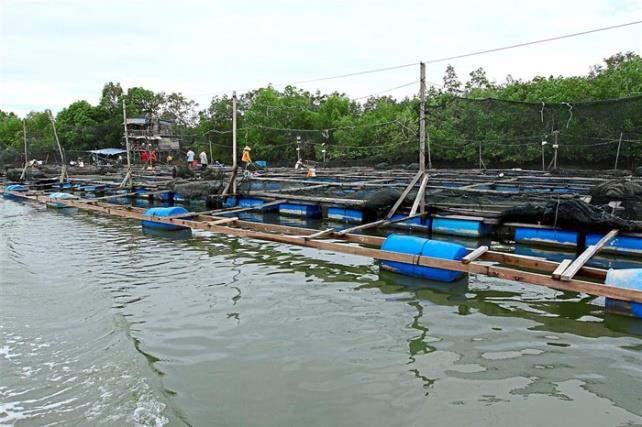 Menggazetkan kawasan kawasan khas yang dibenarkan untuk aktiviti perikanan dan penangkapan ikan.