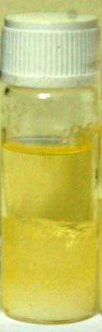34 Metil Ester Gliserol Monogliserida Gambar 15 Produk hasil reaksi yang masih mengandung monogliserida.