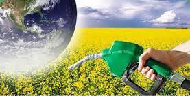 Biodiesel merupakan bahan bakar