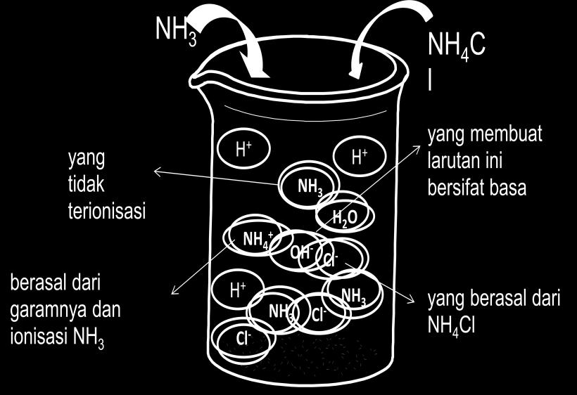 Akibatnya, larutan tersebut akan mengandung: Sejumlah amonia, NH 3, yang tidak terionisasi Sejumlah ion amonia, NH + 4, yang berasal dari garamnya Jumlah ion hidroksida, OH - yang lebih banyak